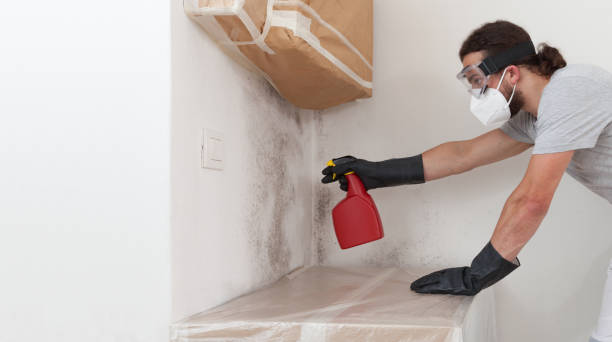 Professional Attic Mold Removal technician working in Burkittsville, MD