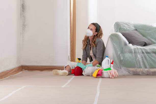 Trusted Attic Mold Removal service in Burkittsville, MD - WQB Mold Removal